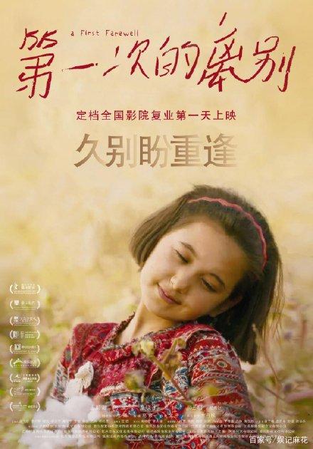 pmp电子证书一直打不开